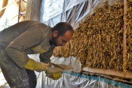 2016-08-hobbithaus-salzburg-78-kopie