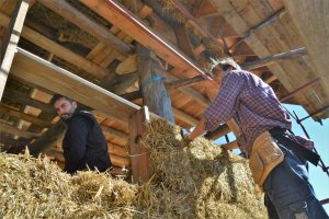 straw bale house belgium genk strohnatur