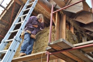 straw bale house belgium genk strohnatur