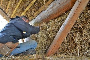 straw bale house belgium genk strohnatur