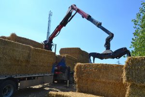lasttragender-Strohballenhaus-Workshop-loadbearing-straw-bale-house