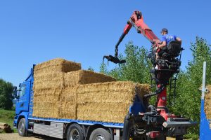 lasttragender-Strohballenhaus-Workshop-loadbearing-straw-bale-house