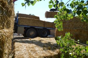 lasttragender-Strohballenhaus-Workshop-loadbearing-straw-bale-house
