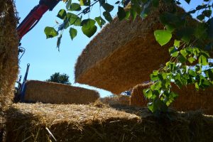 lasttragender-Strohballenhaus-Workshop-loadbearing-straw-bale-house