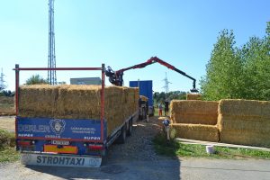lasttragender-Strohballenhaus-Workshop-loadbearing-straw-bale-house