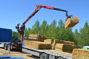 lasttragender-Strohballenhaus-Workshop-loadbearing-straw-bale-house