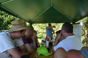lasttragender-Strohballenhaus-Workshop-loadbearing-straw-bale-house