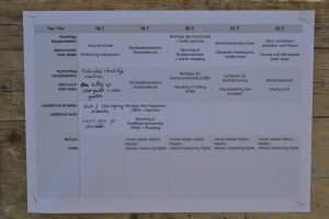 lasttragender-Strohballenhaus-Workshop-loadbearing-straw-bale-house