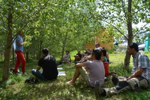 lasttragender-Strohballenhaus-Workshop-loadbearing-straw-bale-house