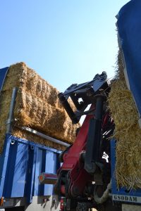 lasttragender-Strohballenhaus-Workshop-loadbearing-straw-bale-house