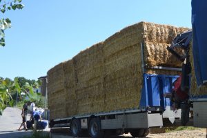 lasttragender-Strohballenhaus-Workshop-loadbearing-straw-bale-house