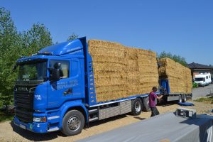lasttragender-Strohballenhaus-Workshop-loadbearing-straw-bale-house