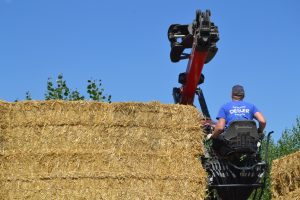lasttragender-Strohballenhaus-Workshop-loadbearing-straw-bale-house
