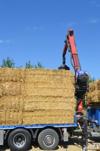 lasttragender-Strohballenhaus-Workshop-loadbearing-straw-bale-house
