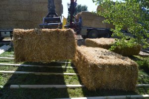 lasttragender-Strohballenhaus-Workshop-loadbearing-straw-bale-house