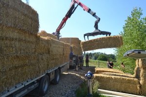 lasttragender-Strohballenhaus-Workshop-loadbearing-straw-bale-house