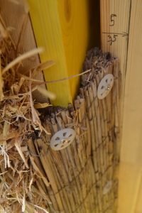 Straw Bale Wrapping in Plank