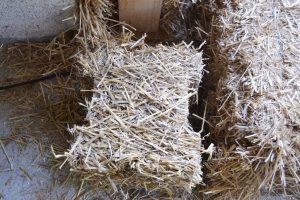 Straw Bale Wrapping in Plank