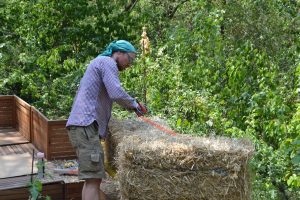 Straw Bale Wrapping in Plank