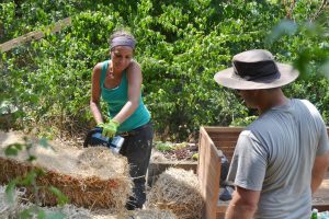 Straw Bale Wrapping in Plank