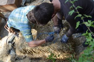 Straw Bale Wrapping in Plank