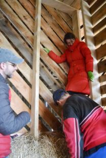 strawbalehouse-goggendorf-01-14