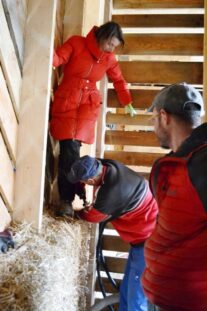 strawbalehouse-goggendorf-01-16