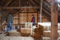 strawbalehouse-goggendorf-01-37