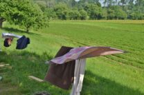 2019-06-st-georgen-infill-112