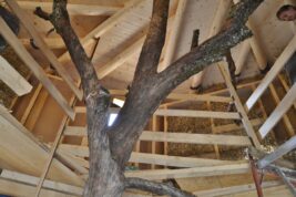 2019-06-st-georgen-infill-169