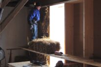 virtuelle-baustelle-2009-026