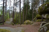 neunagelberg-workshop-2020-1-89