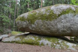 neunagelberg-workshop-2020-1-99